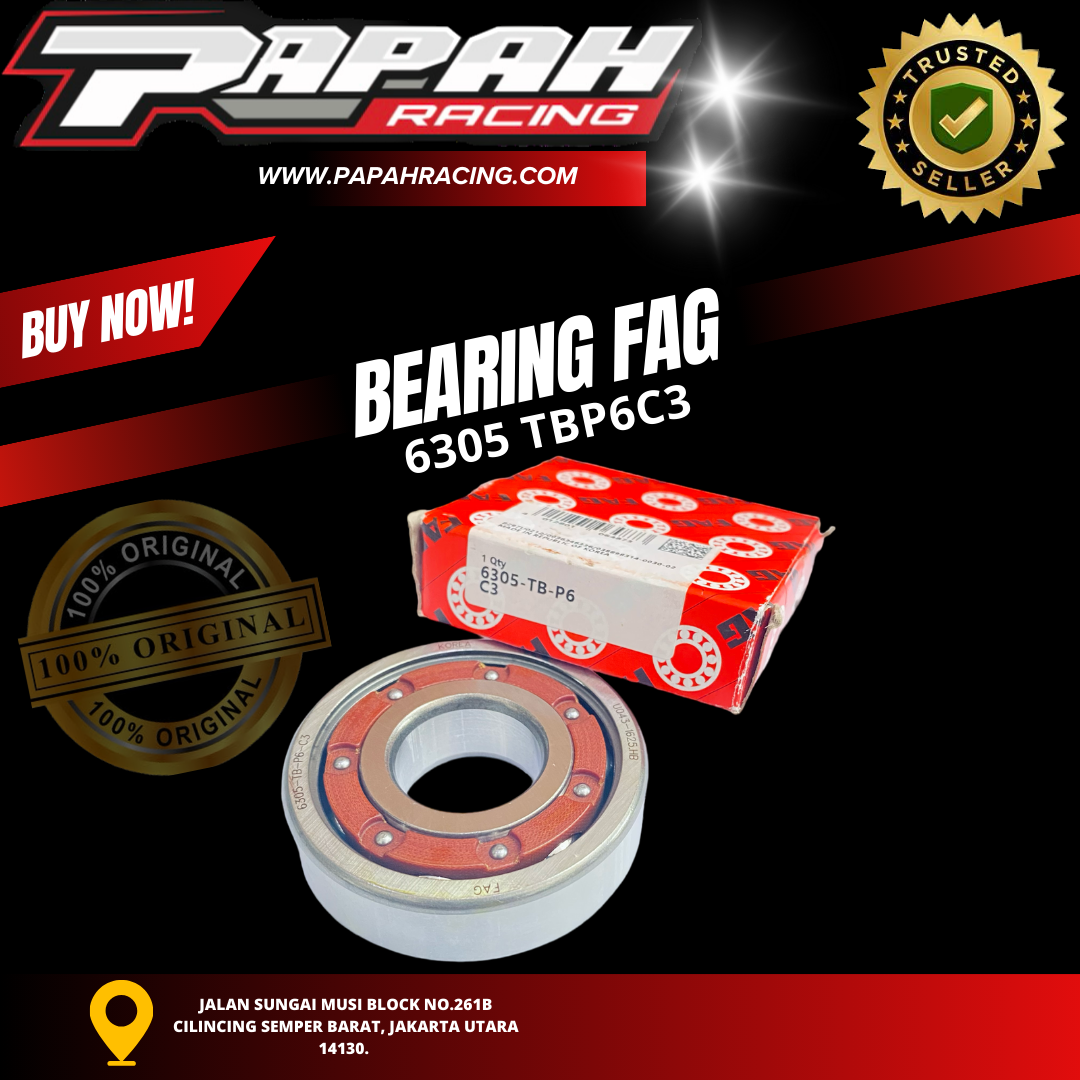 BEARING FAG 6305 TBP6C3